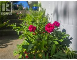 221 Spar St, Sayward, BC V0P1R0 Photo 80
