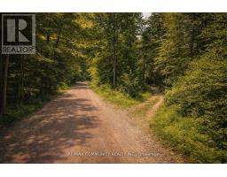 12 Con Concession, Highlands East, ON K0L3C0 Photo 6