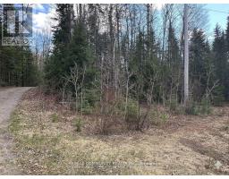 12 Con Concession, Highlands East, ON K0L3C0 Photo 7