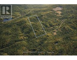 12 Con Concession, Highlands East, ON K0L3C0 Photo 8