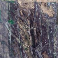 0 Moore Dale Road, Ste Rose Du Lac, MB R0L1S0 Photo 35