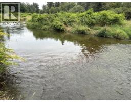 21810 132 Avenue, Maple Ridge, BC V4R0A7 Photo 15