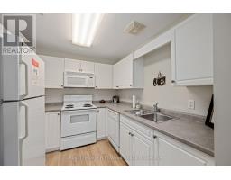 205 - 80 Bridge Street E, Tillsonburg, ON N4G1T2 Photo 33
