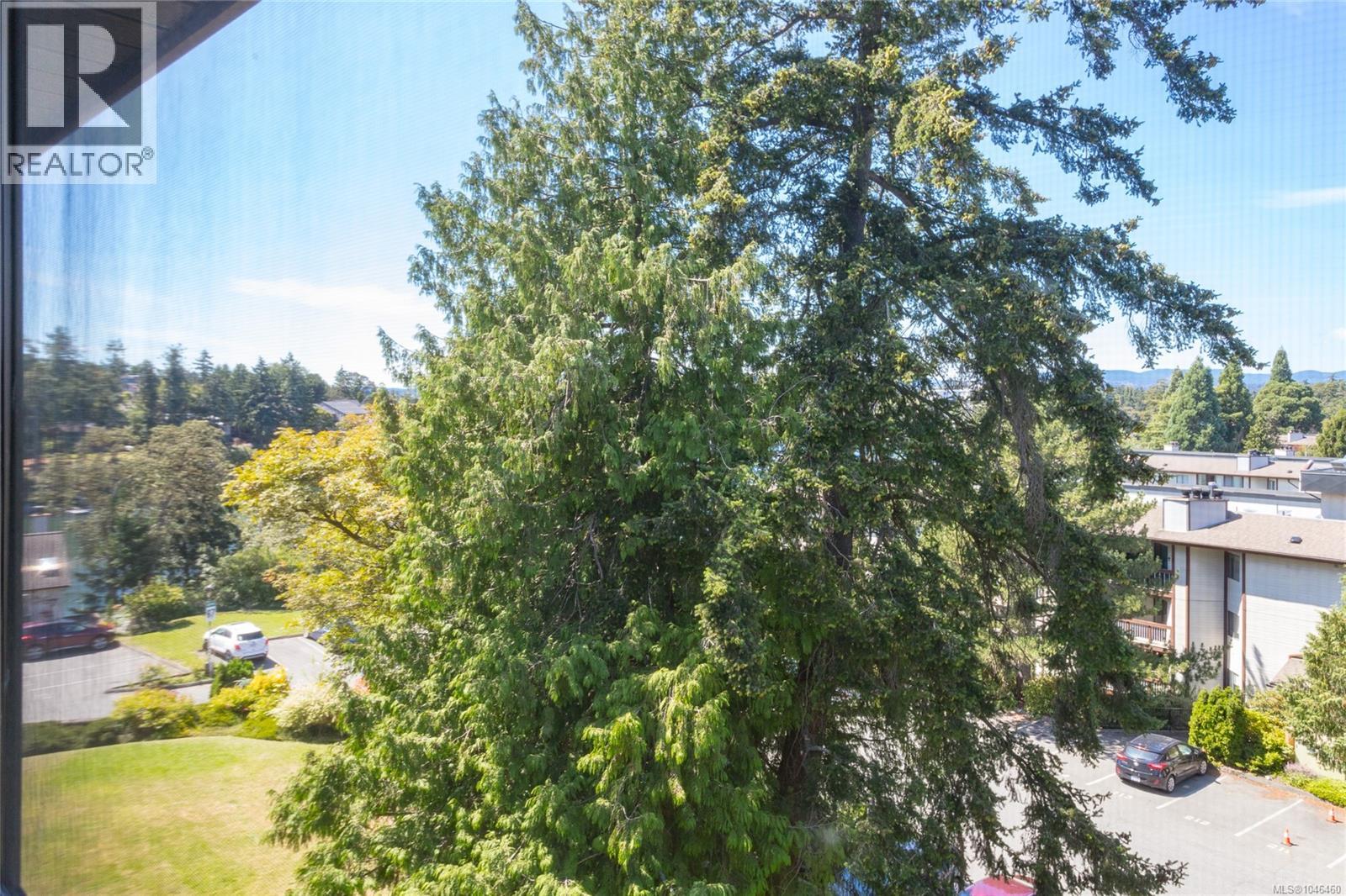 #509 69 Gorge Rd W - Image 20