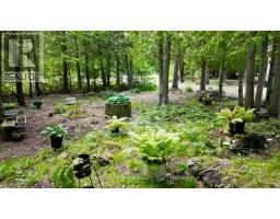 202 Whiskey Harbour Road, Northern Bruce Peninsula, ON N0H1W0 Photo 30