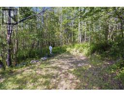16 Peter's Cove Road thumbnail 17