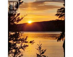 16 Peter's Cove Road thumbnail 23