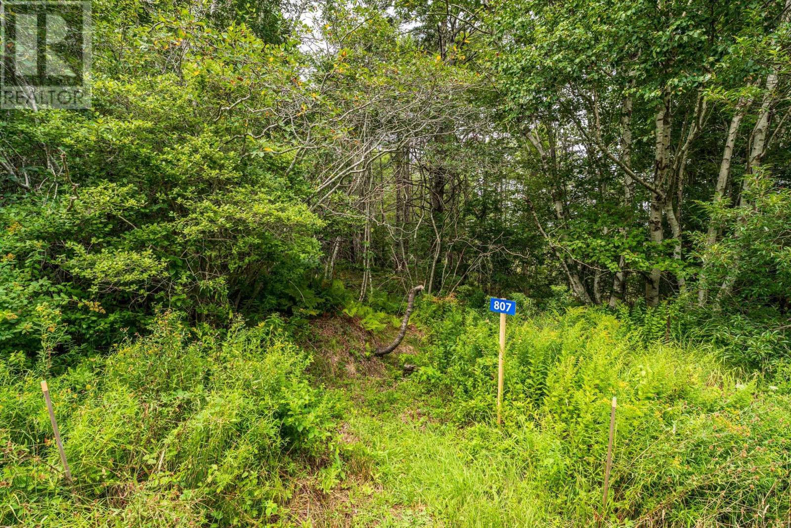 Property 17 of 22 of Lot 807 Hardwood Hills Road