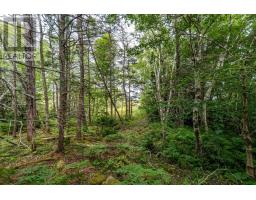 Lot 807 Hardwood Hills Road, Plymouth, NS B0W1B0 Photo 19