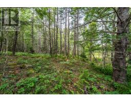 Lot 807 Hardwood Hills Road, Plymouth, NS B0W1B0 Photo 18