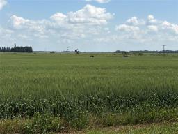 153135 66 North Road N, Virden, MB R0M2C0 Photo 11