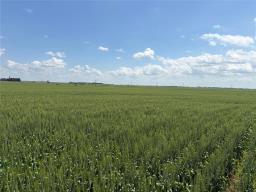 153135 66 North Road N, Virden, MB R0M2C0 Photo 12