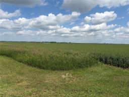 153135 66 North Road N, Virden, MB R0M2C0 Photo 10