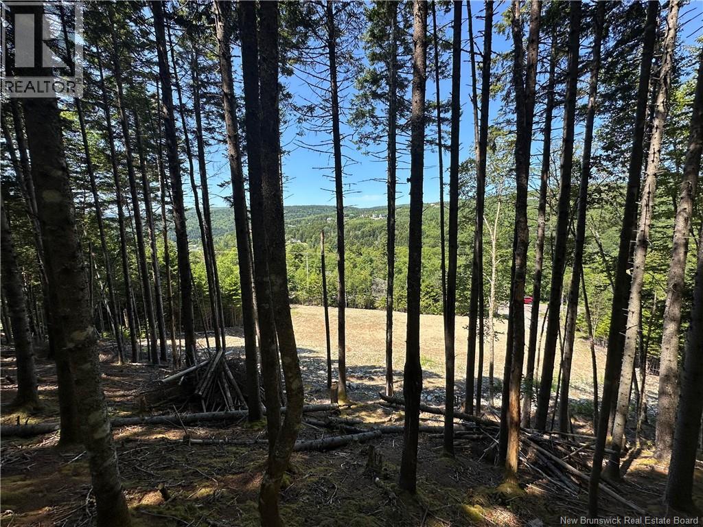 37 Forest Drive, Alma, New Brunswick, E4H1G4, Alma, New Brunswick — photo 5 of 5