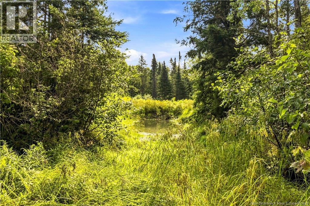 1156 Benton Road - Image 24