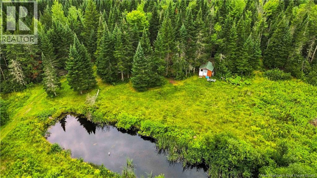 1156 Benton Road - 37