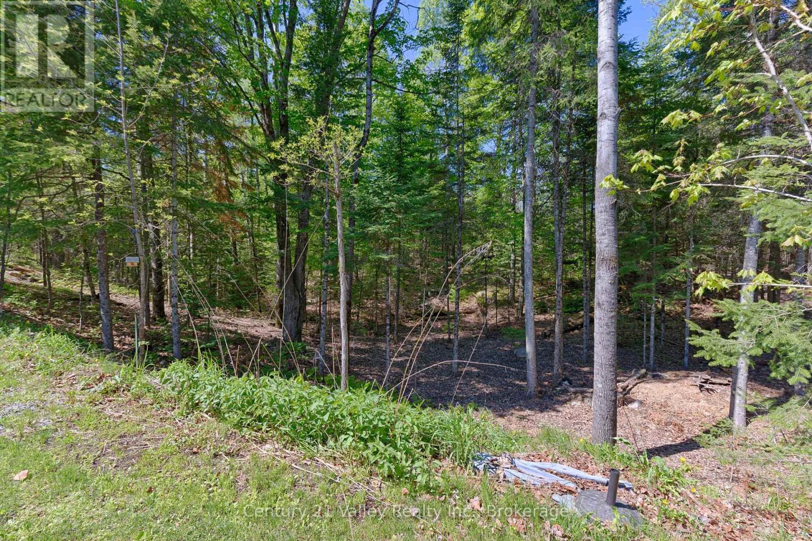 593 INGLIS ROAD - Image 27