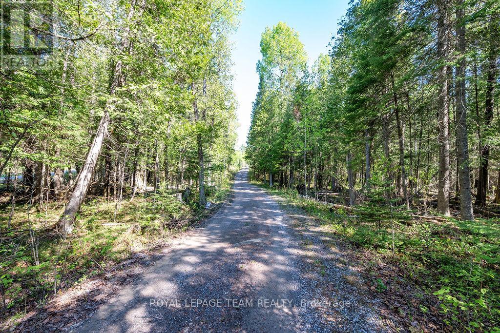 41 HARRISON TRAIL - Image 4