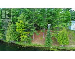 118 Bay Lake Road, Bancroft, ON K0L1C0 Photo 20