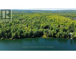 118 Bay Lake Road, Bancroft, ON K0L1C0 Photo 25