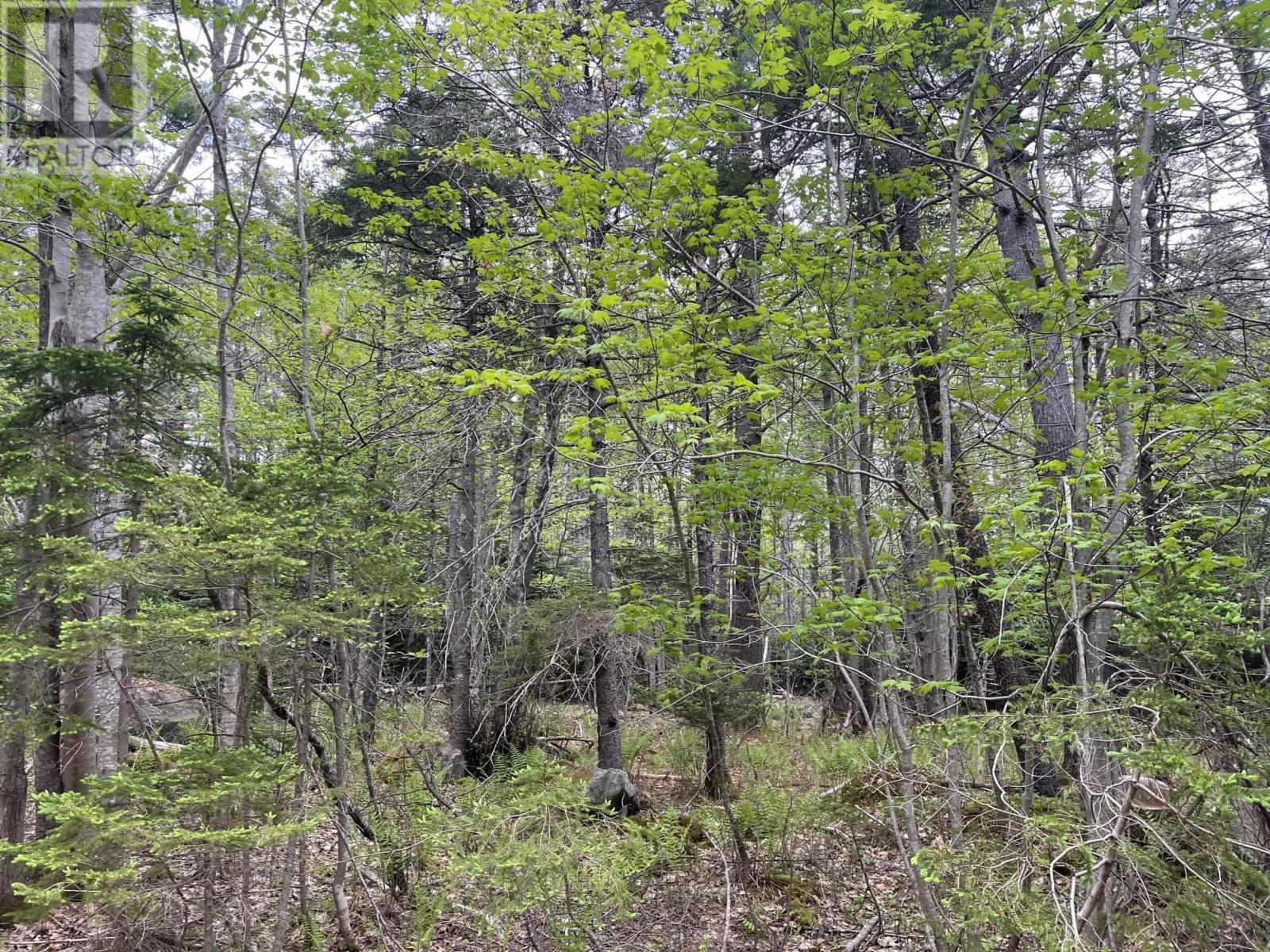 Property 4 of 6 of Land Locust Street