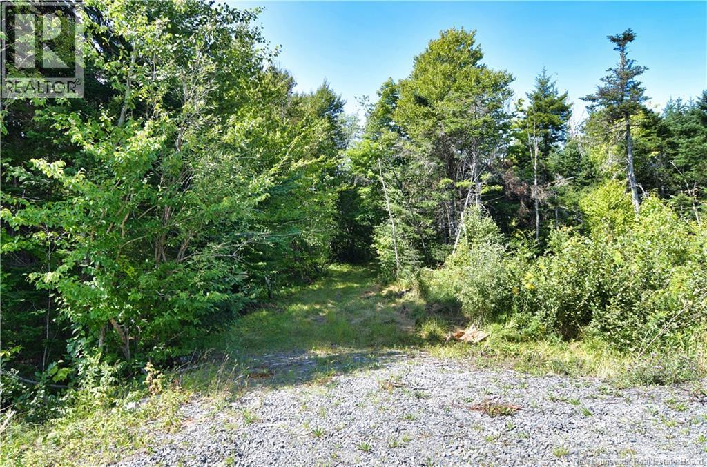 Lot 85-84 Bunker Hill Road, Wilsons Beach, New Brunswick, E5E1Z3, Wilsons Beach, New Brunswick — photo 4 of 5