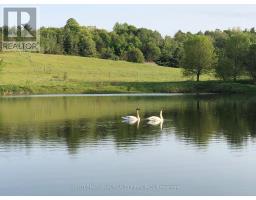 3177 Shelter Valley Road, Haldimand, ON K0K2G0 Photo 13