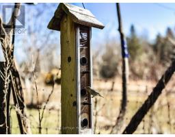 9 Maple Lane, Ashfield Colborne Wawanosh, ON N7A3X9 Photo 44