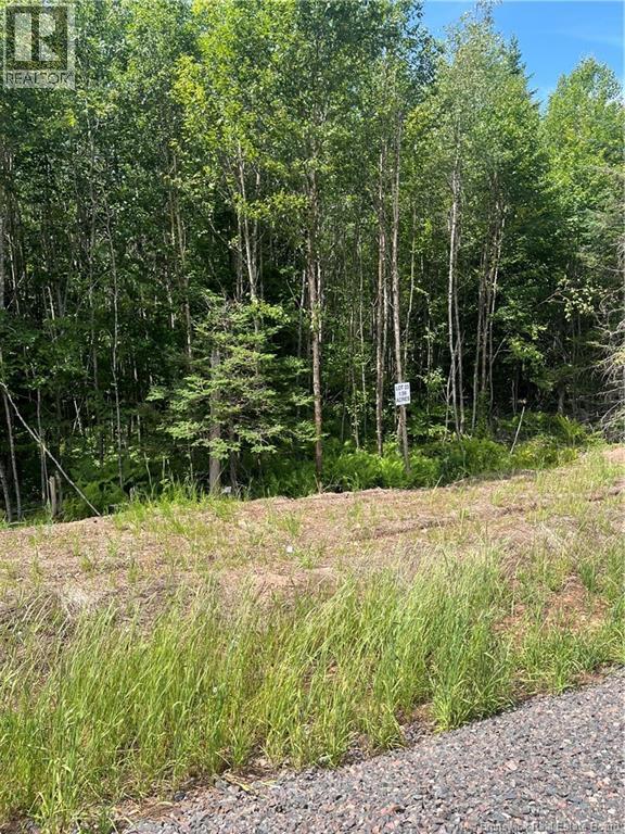 lot Cedarwood Drive, Lakeside, New Brunswick, E5N7K6, Lakeside, New Brunswick — photo 5 of 5