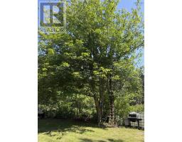 9446 Highway 337, Georgeville, NS B2G2L1 Photo 10