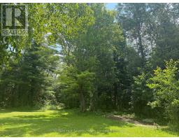 7363 Sideroad 33 34 Road, Clearview, ON L0M1S0 Photo 41