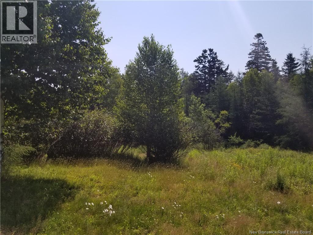 624 Mascarene Road - 21