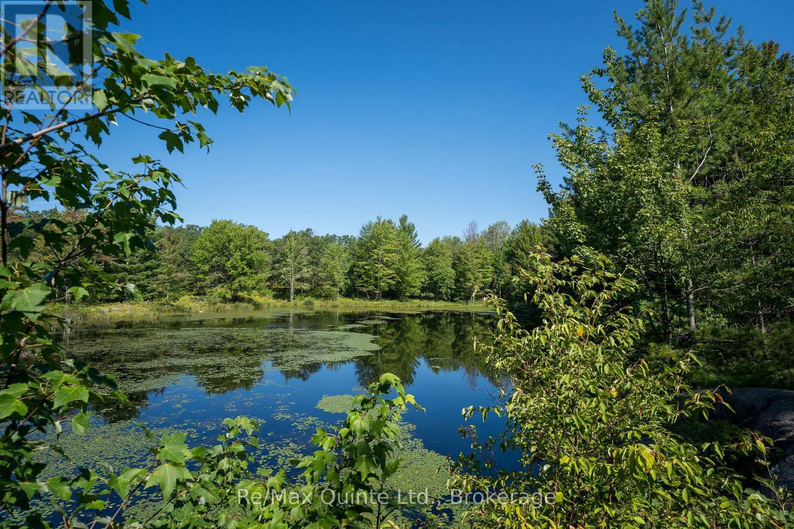 1477 SULPHIDE ROAD - Image 39