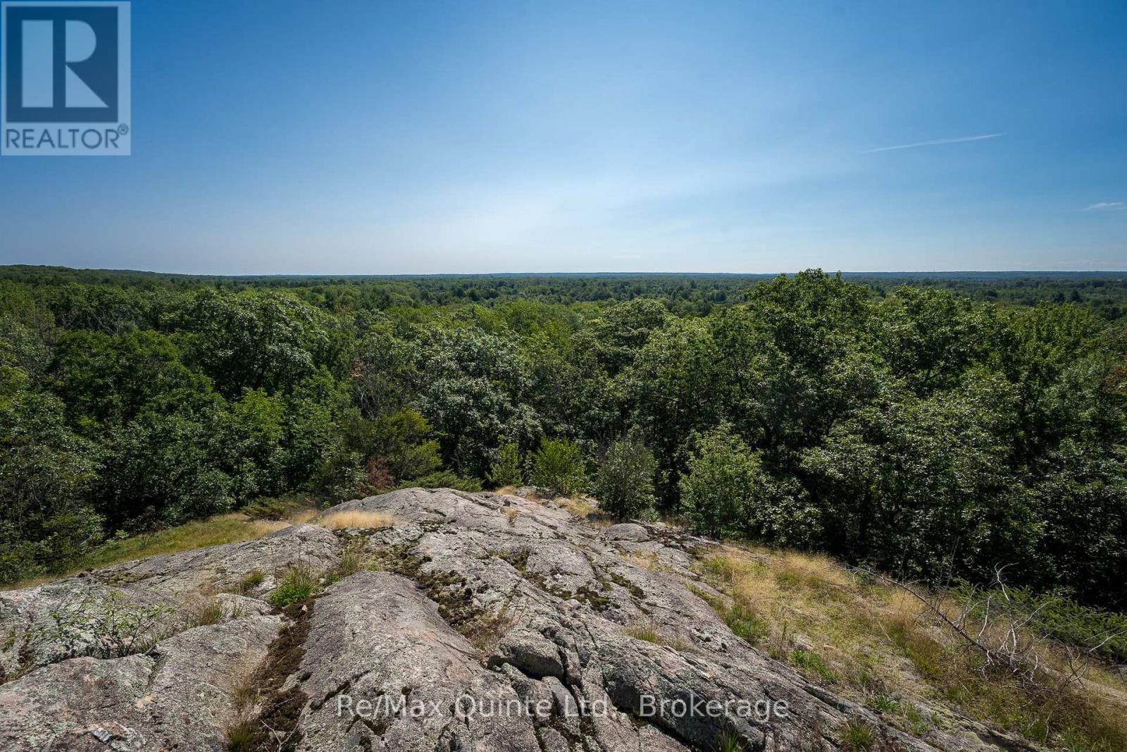 1477 SULPHIDE ROAD - Image 42