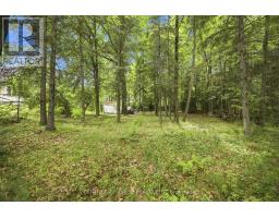 2583 B Line Road, Laurentian Valley, ON K8A6W8 Photo 44