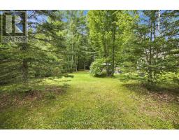 2583 B Line Road, Laurentian Valley, ON K8A6W8 Photo 45