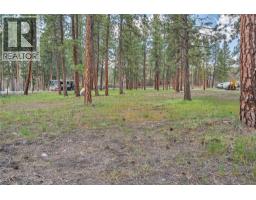 Jacobson Rd Lot# 13, Princeton, BC V0X1W0 Photo 7