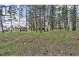 Jacobson Rd Lot# 13, Princeton, BC V0X1W0 Photo 11