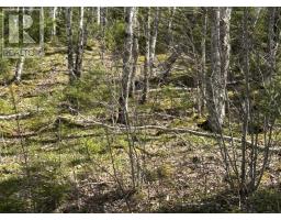 51 Lead Mine Road, Glenelg, NS B0H1E0 Photo 12