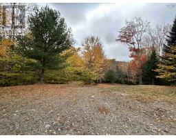 51 Lead Mine Road, Glenelg, NS B0H1E0 Photo 10