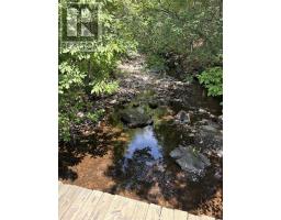 272 Breen Road, Monastery, NS B0H1W0 Photo 15