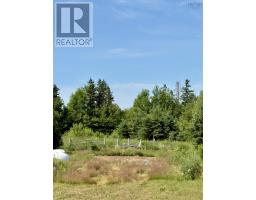 Storage - 272 Breen Road, Monastery, NS B0H1W0 Photo 11