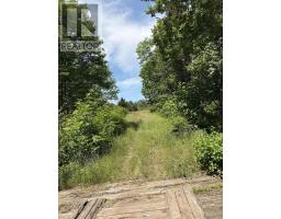 272 Breen Road, Monastery, NS B0H1W0 Photo 17