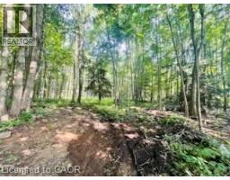 330 13th Concession Road, Scotland, ON N0E1R0 Photo 8