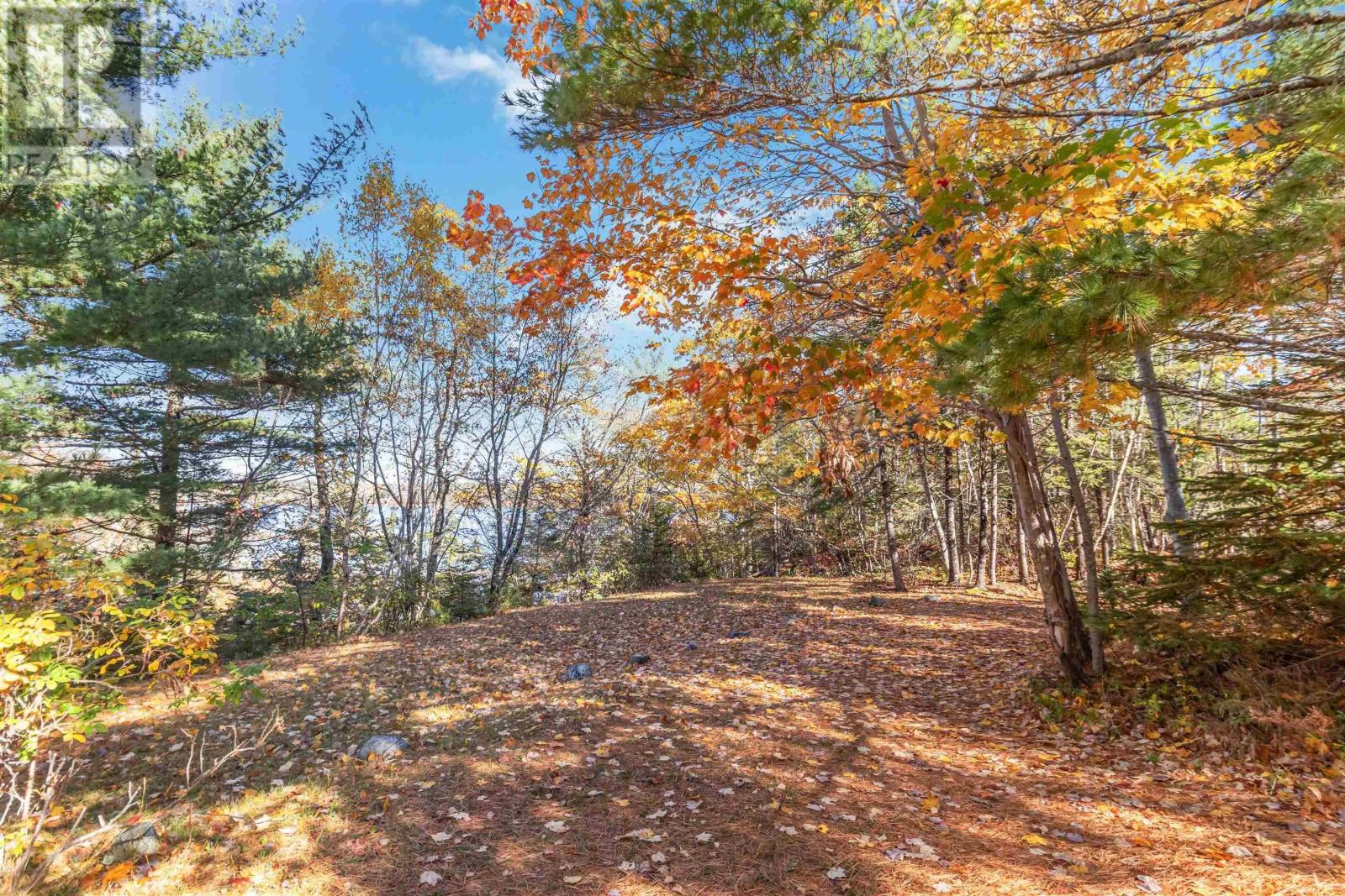 437 Southwest Cove Road - 40