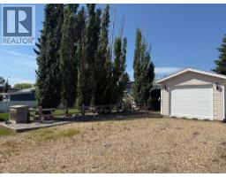 5509 45 Street, Provost, AB T0B3S0 Photo 34