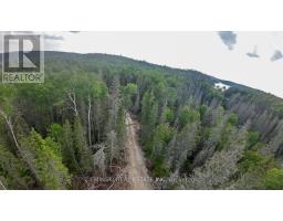 Lt 10 Pcl 21149 Otto Road, Kirkland Lake, ON P0K1T0 Photo 6
