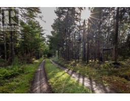 8132 Gabarus Highway, Gabarus, NS B1K2B1 Photo 25