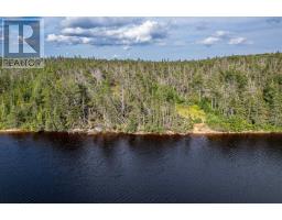 8132 Gabarus Highway, Gabarus, NS B1K2B1 Photo 30