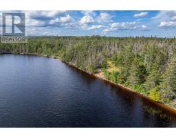 8132 Gabarus Highway, Gabarus, NS B1K2B1 Photo 32